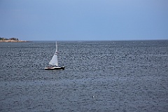 4L4C5677