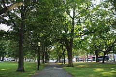 4L4C5779