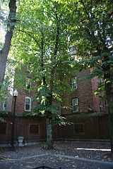 4L4C5816