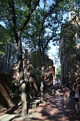 4L4C5819