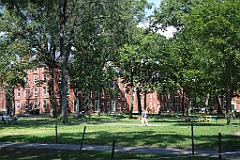 4L4C5911