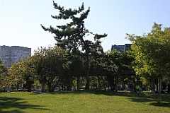 4L4C6305