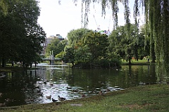 4L4C6593