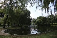 4L4C6594