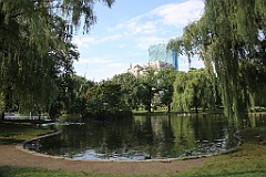 4L4C6596