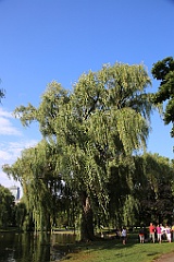 4L4C6599