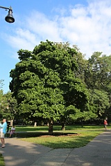 4L4C6601