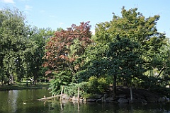 4L4C6603