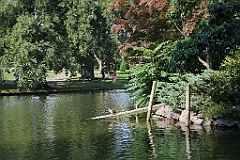 4L4C6605