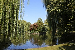 4L4C6606