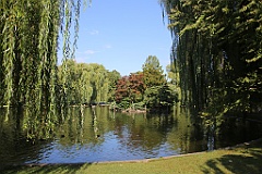 4L4C6608