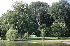 4L4C6609