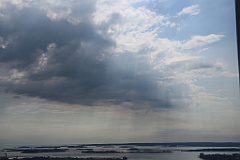 4L4C6636