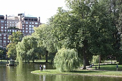 IMG_0082