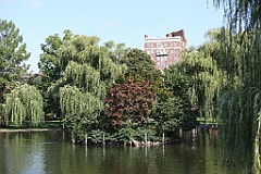 IMG_0084