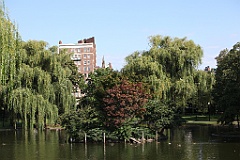 IMG_0085