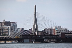 IMG_0198
