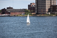 IMG_0214