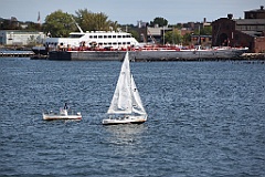 IMG_0217