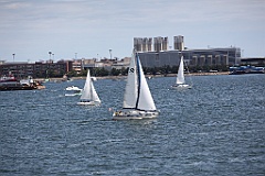 IMG_0239