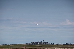 IMG_0289