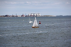 IMG_0290