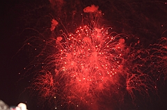 C5D_043450