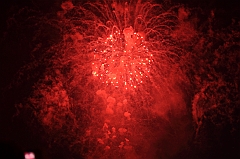 C5D_043470