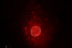 C5D_043544