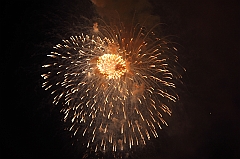 C5D_043670