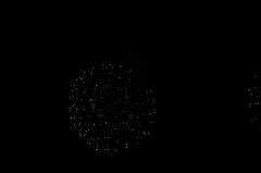 C5D_043758