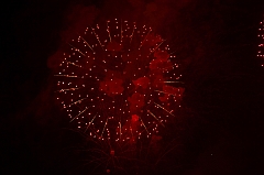C5D_043768