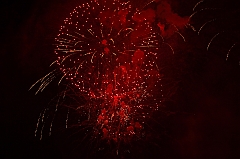 C5D_043779