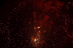 C5D_043790
