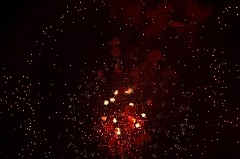 C5D_043791