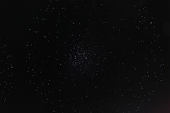 C5D_043830