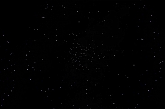 C5D_043831