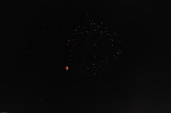 C5D_043860