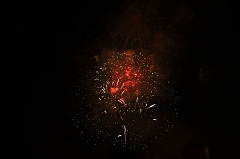 C5D_043870