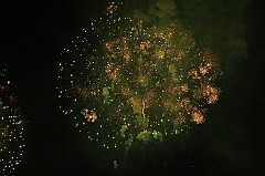 C5D_043925