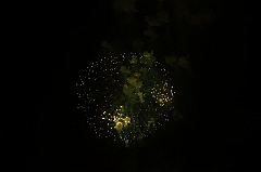 C5D_043976