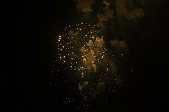 C5D_043978