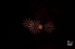 C5D_043990