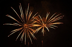 C5D_044088