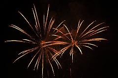 C5D_044089