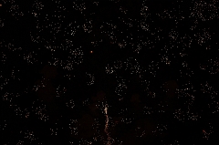 C5D_044125