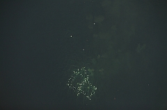 C5D_044155