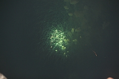 C5D_044160
