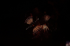 C5D_044194