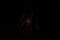 C5D_044208